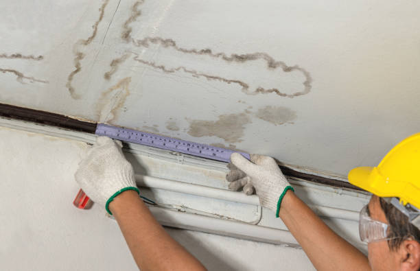 Reliable Burst Pipe Cleanup contractor in Crane Hill, AL by Water Damage Irwin
